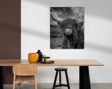 Porträt einer nassen schottischen Highlander-Kuh in schwarz-weiß