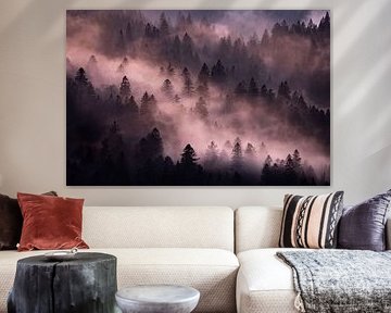 Nevel in het bos van Sam Mannaerts
