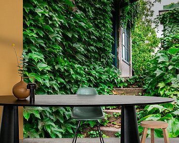 Oude huis veranda bedekt met groene klimop van Andreea Eva Herczegh