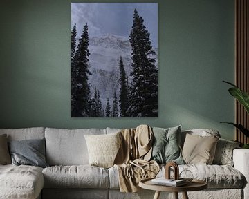 Winter in de Rockies van Timon Schneider