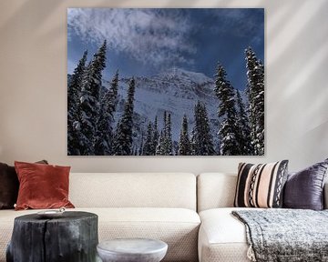 Rocky Mountains in de winter van Timon Schneider