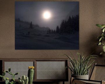 Winternebel in den Rockies von Timon Schneider