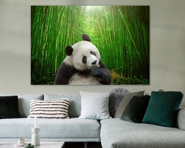 Panda beer met bamboo bos achtergrond van Chihong