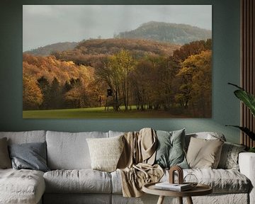 L'automne dans la forêt de l'Eifel sur Dieter Beselt