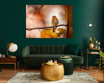 Robin in autumn by KB Design & Photography (Karen Brouwer)