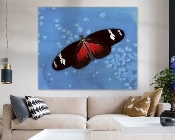 Der Schmetterling Heliconius doris von Bianca Wisseloo