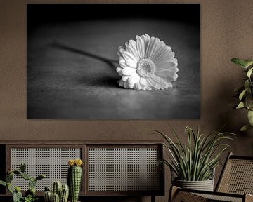 Zwart-wit, infrarood bloem van Joris Buijs Fotografie