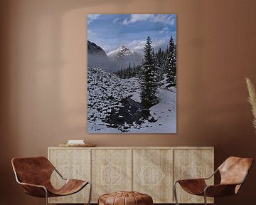 Besneeuwd landschap in de Rockies van Timon Schneider