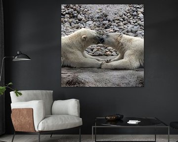 Zwei verliebte Eisbären von Nancy Bogaert
