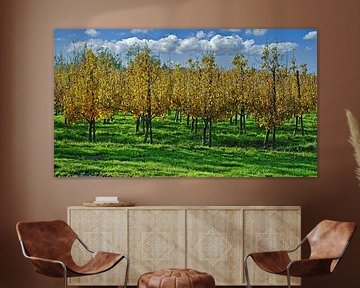 Boomgaard met perenbomen in goudgele herfstkleuren van Gert van Santen