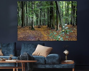 Forêt néerlandaise sur le Grebbeberg avec des couleurs vives sous la pluie - début de l'automne sur Marianne van der Zee