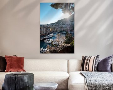 Modern havengezicht | een trip door Monaco van Roos Maryne - Natuur fotografie