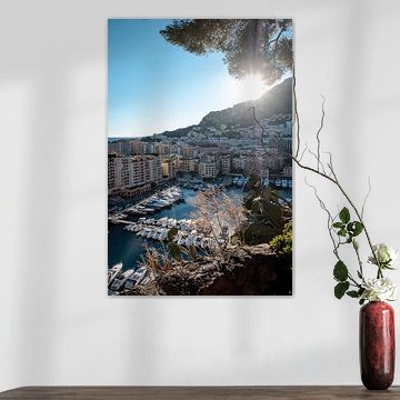 Modern harbour view | a trip through Monaco by Roos Maryne - Natuur fotografie