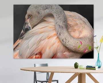 Flamingo van Kees Korbee