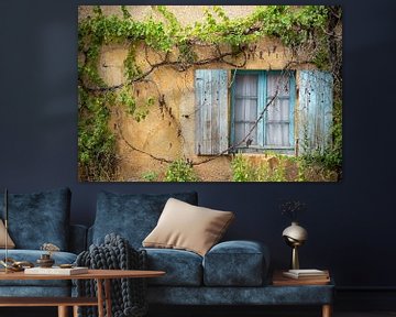 verveloze ramen en wijnranken van oud woonhuis in Morvan, Frankrijk van Jan Fritz
