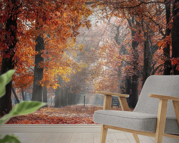 Sfeerimpressie behang: Eikenlaan in herfstkleuren aan het Smeetshof in Bocholt van Peschen Photography