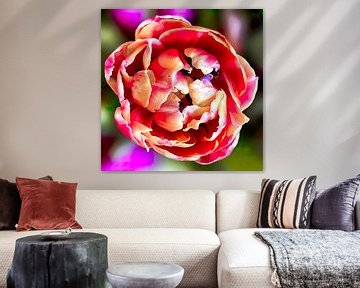 Tulp van bovenaf gezien van Digital Art Nederland