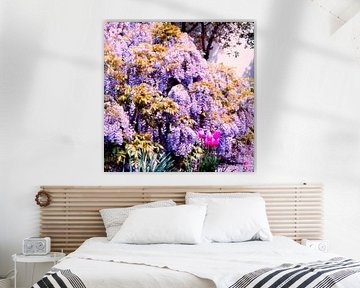 Flowers dream