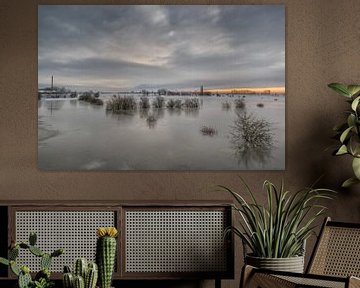 Inondation des plaines inondables de Ravenswaaij sur Moetwil en van Dijk - Fotografie