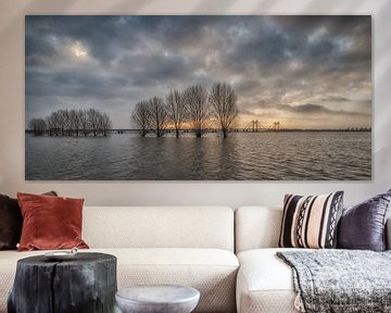Overstroming uiterwaarden bij PW Alexanderbrug Echteld van Moetwil en van Dijk - Fotografie