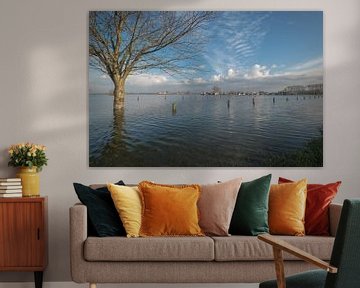 Hochwasser im Hafen von Maurik von Moetwil en van Dijk - Fotografie