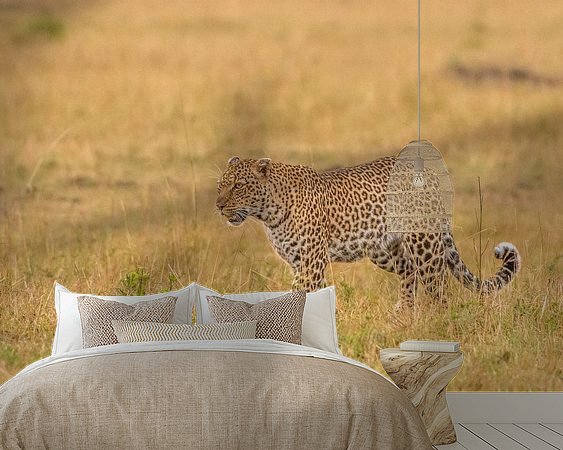 Aperçu de la chambre