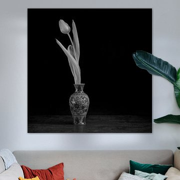 Tulipe infrarouge dans un vase