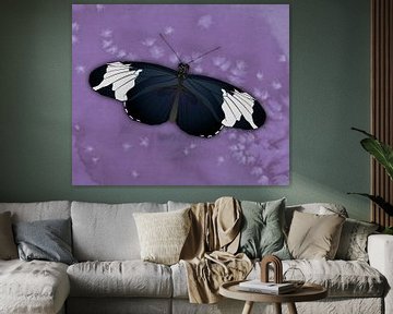 De heliconius  sapho vlinder  of passievlinder van Bianca Wisseloo