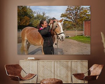 Vorbereitung des Pferdes vor dem Training von Babetts Bildergalerie