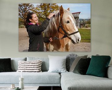 Préparation du cheval avant l'entraînement