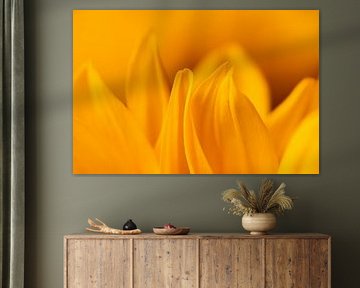 Sonnenblume von Evelyne Renske