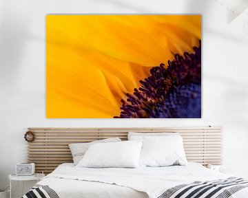 Sonnenblume von Evelyne Renske