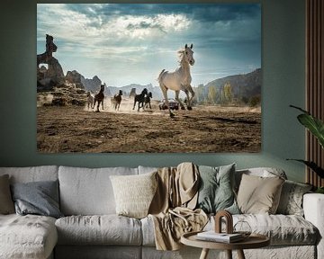 Wilde paarden in  Cappadocië
