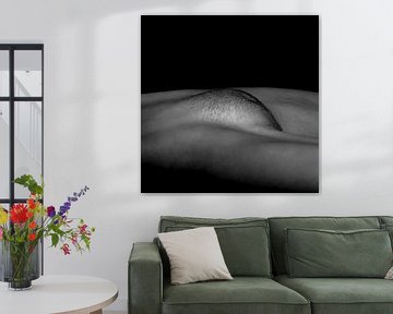 Artistiek Naakt van een Vagina in Low Key Zwart Wit