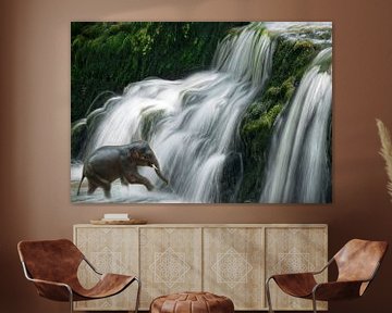 Petit éléphant boit de l'eau en cascade sur Marcel van Balken