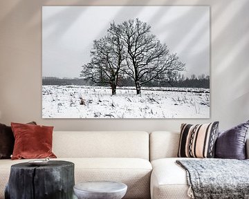 winterlandschap