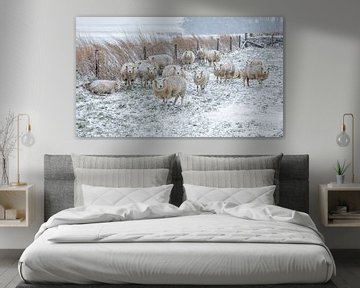 Moutons dans la neige.