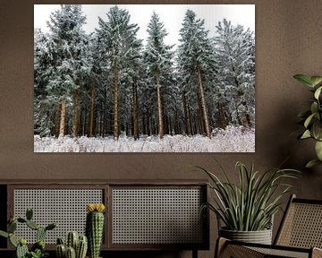 Prachtig winterlandschap op de hoogten van het Thüringer Wald van Oliver Hlavaty
