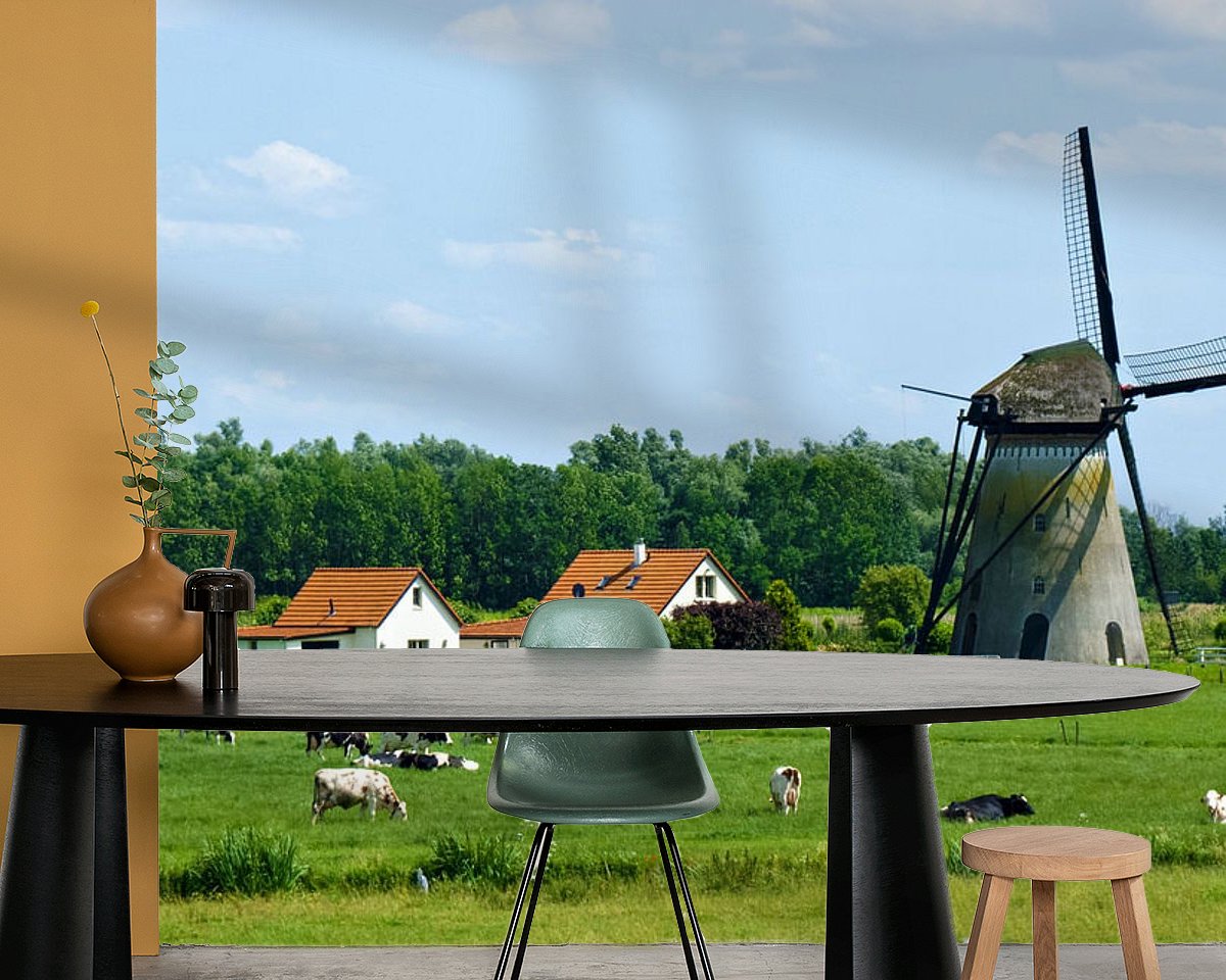 Raumvorschau