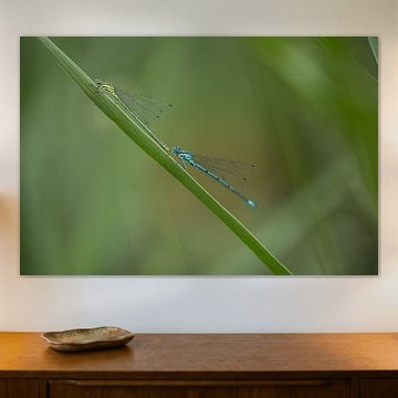 Zwei Vermisste suchen sich gegenseitig