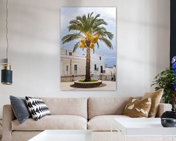 Palmboom met gouden bloemen - Puglia - Italië van Anouk Raaphorst
