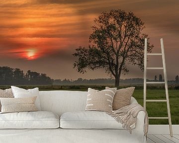 Tree with hay rolls at sunset by Moetwil en van Dijk - Fotografie