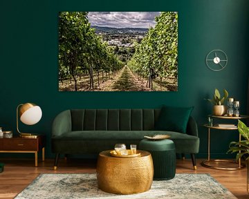 Vineyards in the Eifel by Thomas Riess