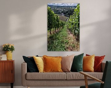 Vineyards by Thomas Riess