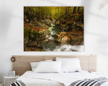 Heldere rivier in bos tijdens herfst in Slovenië