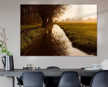 Hollandse polder van Rnoot in beeld