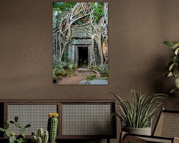 kapokboom op ruine in Angkor Wat van Jan Fritz