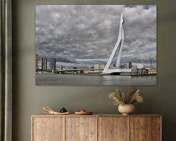 Rotterdam met de Erasmus brug. van Tilly Meijer