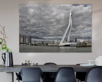Rotterdam met de Erasmus brug. van Tilly Meijer