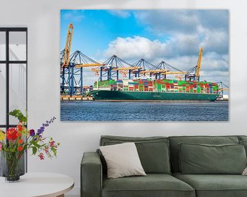 Container ship at the container terminal in the port of Rotterda by Sjoerd van der Wal